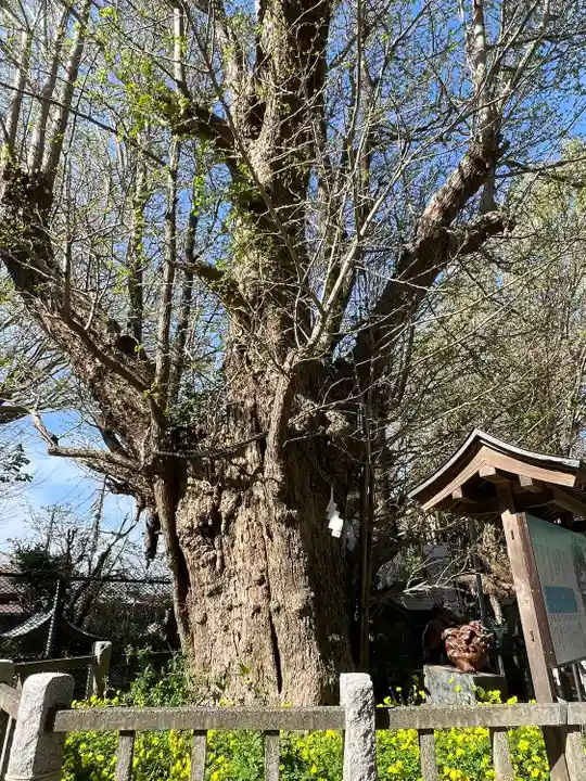 海南神社(神奈川県)