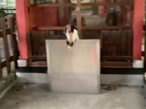 天王坊稲荷神社(岐阜県)