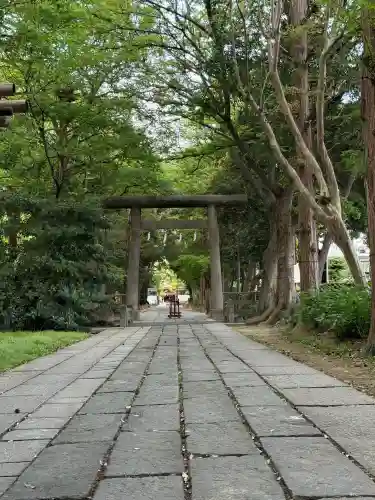 越ヶ谷久伊豆神社の{uncategorized: "未分類", other: "その他", undefined: "問題あり", building: "その他建物", grave: "お墓", sacred_gate: "鳥居", guardian: "狛犬", statue: "像", buddha: "仏像", history: "歴史", nature: "自然", garden: "庭園", animal: "動物", pagoda: "塔", temizu: "手水舎", mountain_gate: "山門・神門", sanctuary: "本殿・本堂", subordinate: "末社・摂社", art: "芸術", scenery: "景色", jizo: "地蔵", ema: "絵馬", goshuin: "御朱印", omikuji: "おみくじ", items: "授与品その他", amulet: "お守り", goshuincho: "御朱印帳", eats: "食事", festival: "お祭り", votive_dance: "神楽", shichigosan: "七五三参", wedding: "結婚式", experience: "体験その他", initially: "初詣", around: "周辺", anti_infection: "感染症対策"}