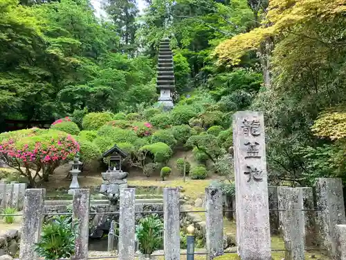 岡寺（龍蓋寺）(奈良県)