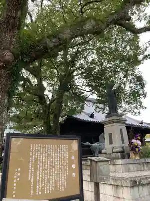 斑鳩寺の歴史