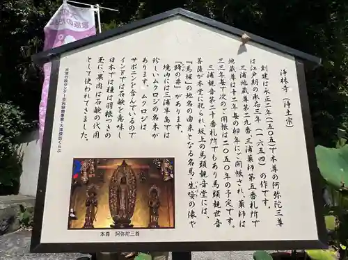 浄林寺(神奈川県)