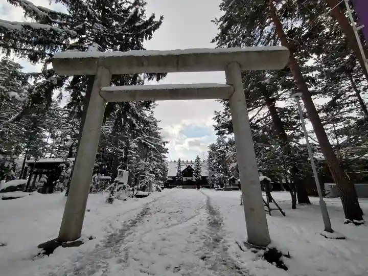 上川神社の鳥居
