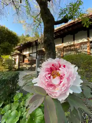 最明寺の本殿・本堂