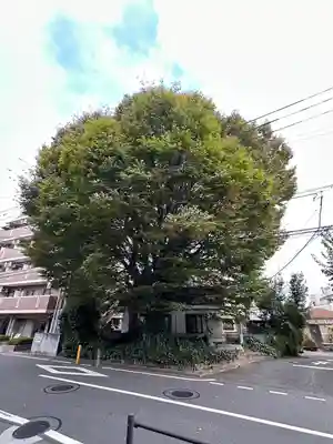 小野神社(東京都)