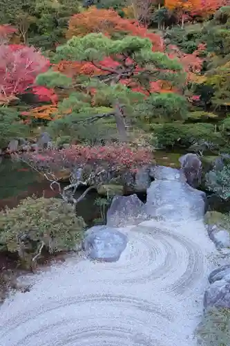 慈照寺（慈照禅寺・銀閣寺）(京都府)