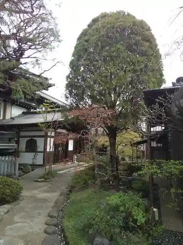 徳蔵寺のその他建物
