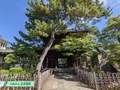 泉岳寺の山門