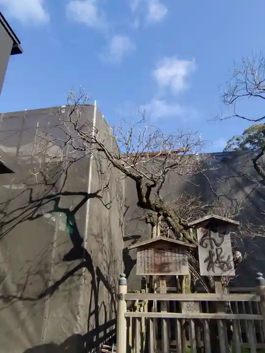 太宰府天満宮(福岡県)