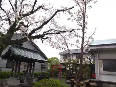 厳島神社(静岡県)