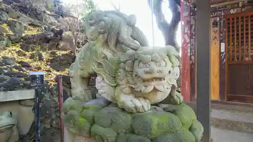 品川神社の狛犬