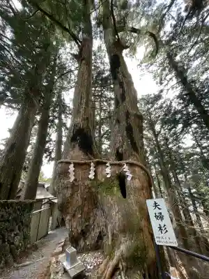 玉置神社の{uncategorized: "未分類", other: "その他", undefined: "問題あり", building: "その他建物", grave: "お墓", sacred_gate: "鳥居", guardian: "狛犬", statue: "像", buddha: "仏像", history: "歴史", nature: "自然", garden: "庭園", animal: "動物", pagoda: "塔", temizu: "手水舎", mountain_gate: "山門・神門", sanctuary: "本殿・本堂", subordinate: "末社・摂社", art: "芸術", scenery: "景色", jizo: "地蔵", ema: "絵馬", goshuin: "御朱印", omikuji: "おみくじ", items: "授与品その他", amulet: "お守り", goshuincho: "御朱印帳", eats: "食事", festival: "お祭り", votive_dance: "神楽", shichigosan: "七五三参", wedding: "結婚式", experience: "体験その他", initially: "初詣", around: "周辺", anti_infection: "感染症対策"}