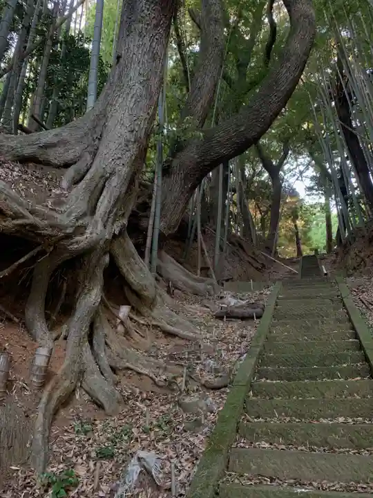 諏訪神社(千葉県)