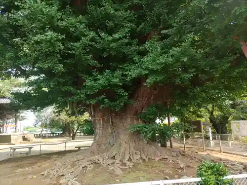 千葉寺(千葉県)