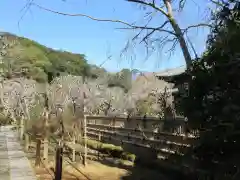 瑞泉寺の建物その他