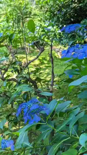 法金剛院(京都府)