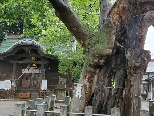 阿邪訶根神社の景色