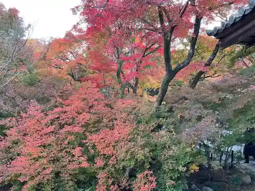 宝筐院(京都府)