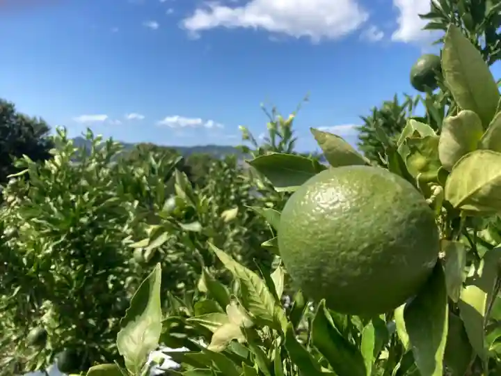竜王神社の周辺