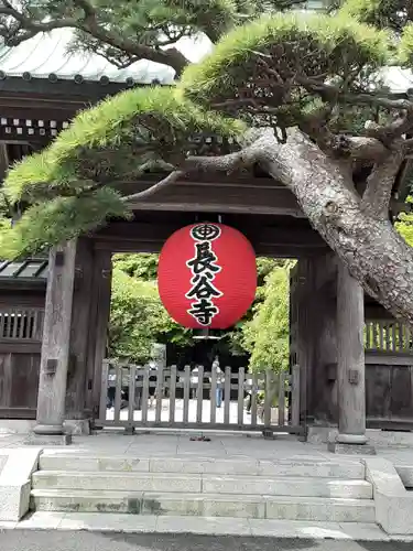 長谷寺の山門・神門
