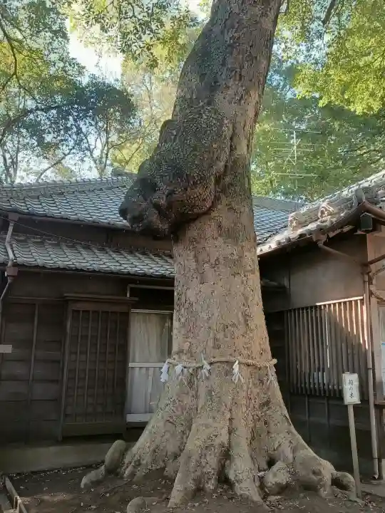 氷川女體神社の{uncategorized: "未分類", other: "その他", undefined: "問題あり", building: "その他建物", grave: "お墓", sacred_gate: "鳥居", guardian: "狛犬", statue: "像", buddha: "仏像", history: "歴史", nature: "自然", garden: "庭園", animal: "動物", pagoda: "塔", temizu: "手水舎", mountain_gate: "山門・神門", sanctuary: "本殿・本堂", subordinate: "末社・摂社", art: "芸術", scenery: "景色", jizo: "地蔵", ema: "絵馬", goshuin: "御朱印", omikuji: "おみくじ", items: "授与品その他", amulet: "お守り", goshuincho: "御朱印帳", eats: "食事", festival: "お祭り", votive_dance: "神楽", shichigosan: "七五三参", wedding: "結婚式", experience: "体験その他", initially: "初詣", around: "周辺", anti_infection: "感染症対策"}