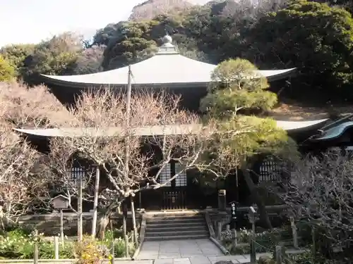 瑞泉寺の本殿・本堂