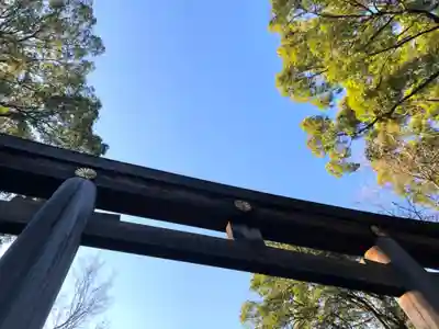 明治神宮の鳥居