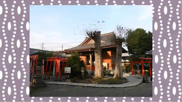 於菊稲荷神社(群馬県)