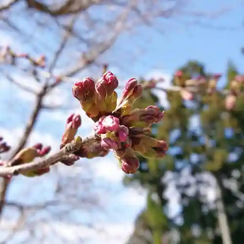 壽徳寺 じゅとくじの自然