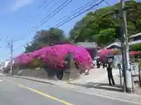 安養院 (田代寺)の周辺