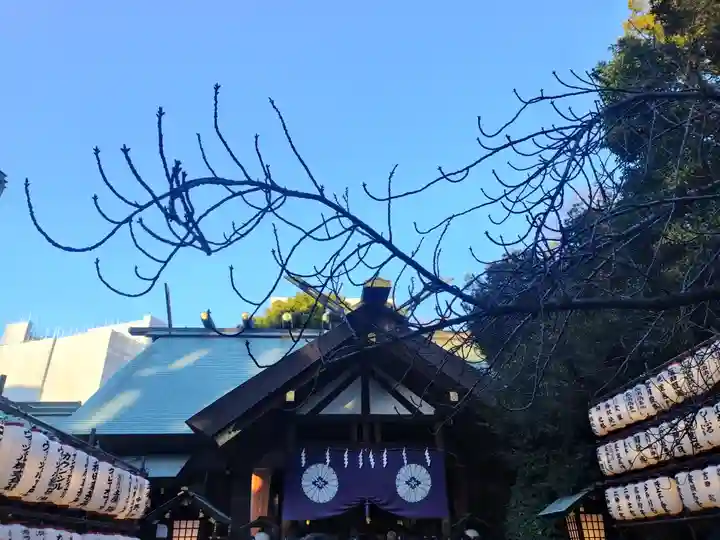 東京大神宮(東京都)