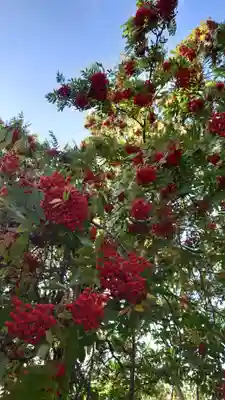 相馬神社(北海道)