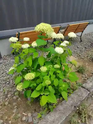 諏訪神社(宮城県)