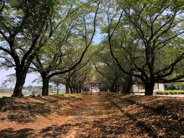 東蕗田天満社の自然