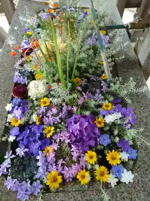 長沼八幡宮(栃木県)