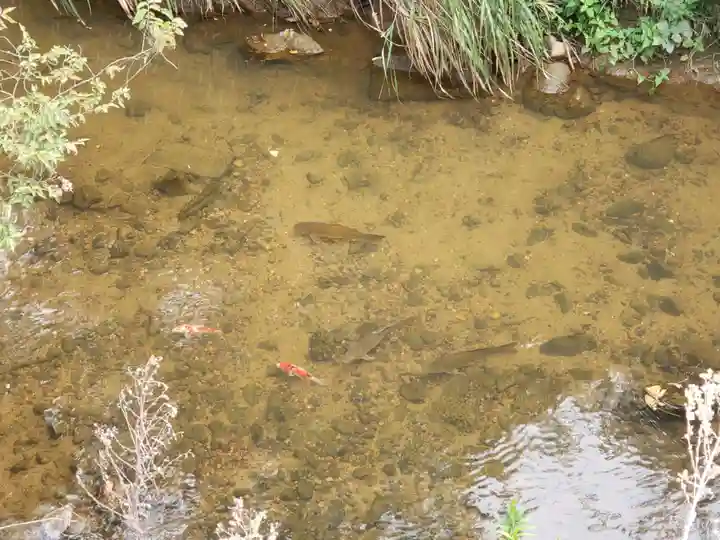 上堂神社(石川県)