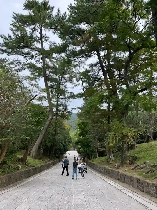 出雲大社(島根県)