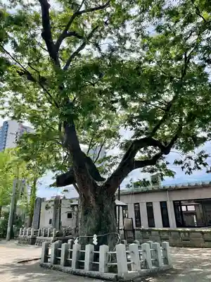 阿邪訶根神社(福島県)