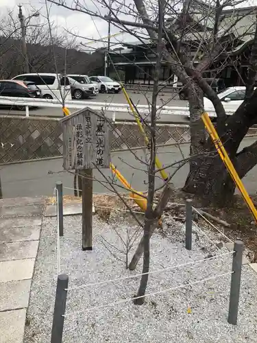 宮地嶽神社の建物その他