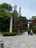 根津神社の{uncategorized: "未分類", other: "その他", undefined: "問題あり", building: "その他建物", grave: "お墓", sacred_gate: "鳥居", guardian: "狛犬", statue: "像", buddha: "仏像", history: "歴史", nature: "自然", garden: "庭園", animal: "動物", pagoda: "塔", temizu: "手水舎", mountain_gate: "山門・神門", sanctuary: "本殿・本堂", subordinate: "末社・摂社", art: "芸術", scenery: "景色", jizo: "地蔵", ema: "絵馬", goshuin: "御朱印", omikuji: "おみくじ", items: "授与品その他", amulet: "お守り", goshuincho: "御朱印帳", eats: "食事", festival: "お祭り", votive_dance: "神楽", shichigosan: "七五三参", wedding: "結婚式", experience: "体験その他", initially: "初詣", around: "周辺", anti_infection: "感染症対策"}