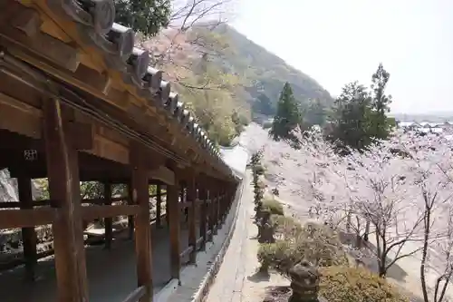 吉備津神社(岡山県)