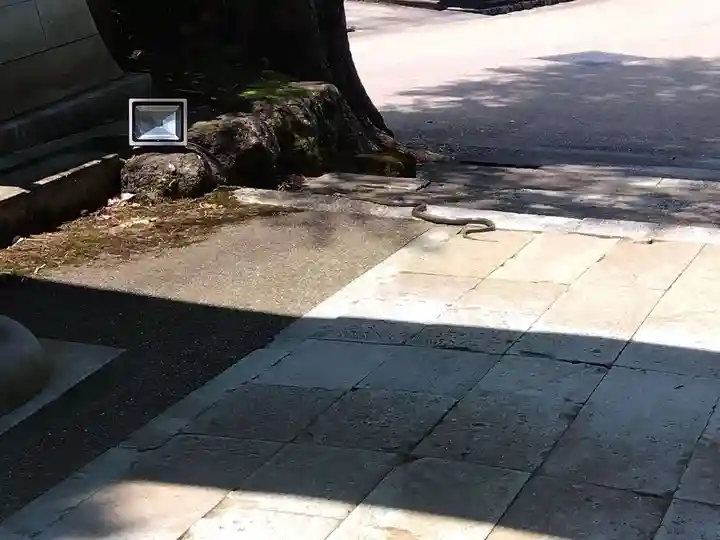 岡太神社・大瀧神社(福井県)