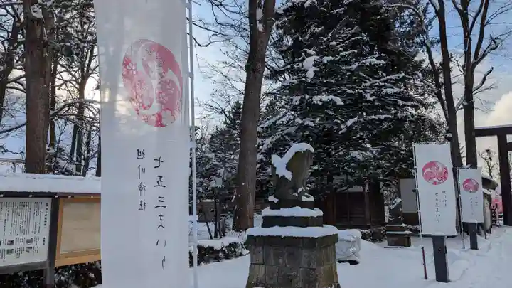 旭川神社の七五三参