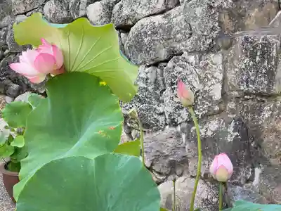 長谷寺(奈良県)