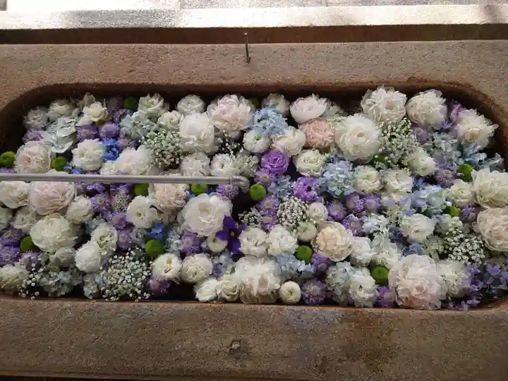 住吉大社の手水舎