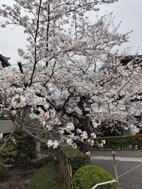 大雲院(京都府)