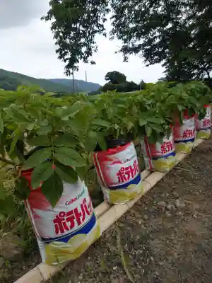 高司神社〜むすびの神の鎮まる社〜(福島県)
