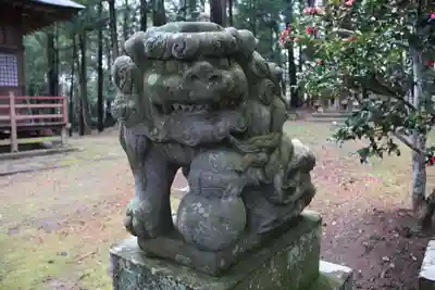 白幡神社の狛犬