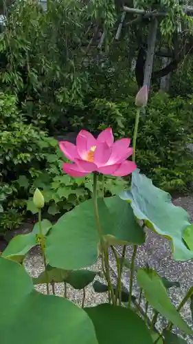 後白河院御聖蹟　法住寺(京都府)