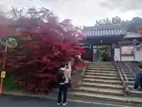 光明院(光明禅院)(京都府)